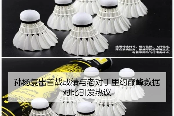 孙杨复出首战成绩与老对手里约巅峰数据对比引发热议（Crown）